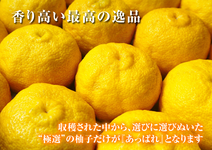 香り高きゆず 収穫の最盛期 後編 収穫から選別保管 保存方法 ｆｌｃパートナーズストア