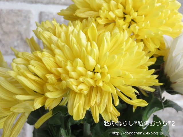 ++小さなこと*小さな喜び*++_e0354456_94417.jpg