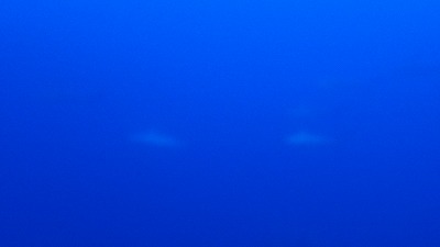 11月21日 ウネリが・・・!!_d0113459_1748752.jpg