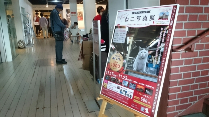 ねこ写真展@横浜赤レンガ倉庫_f0116159_20193856.jpg