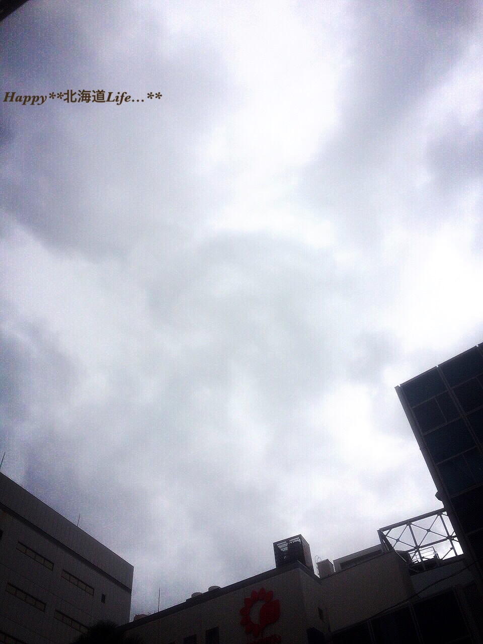 a0337860_00184528.jpeg