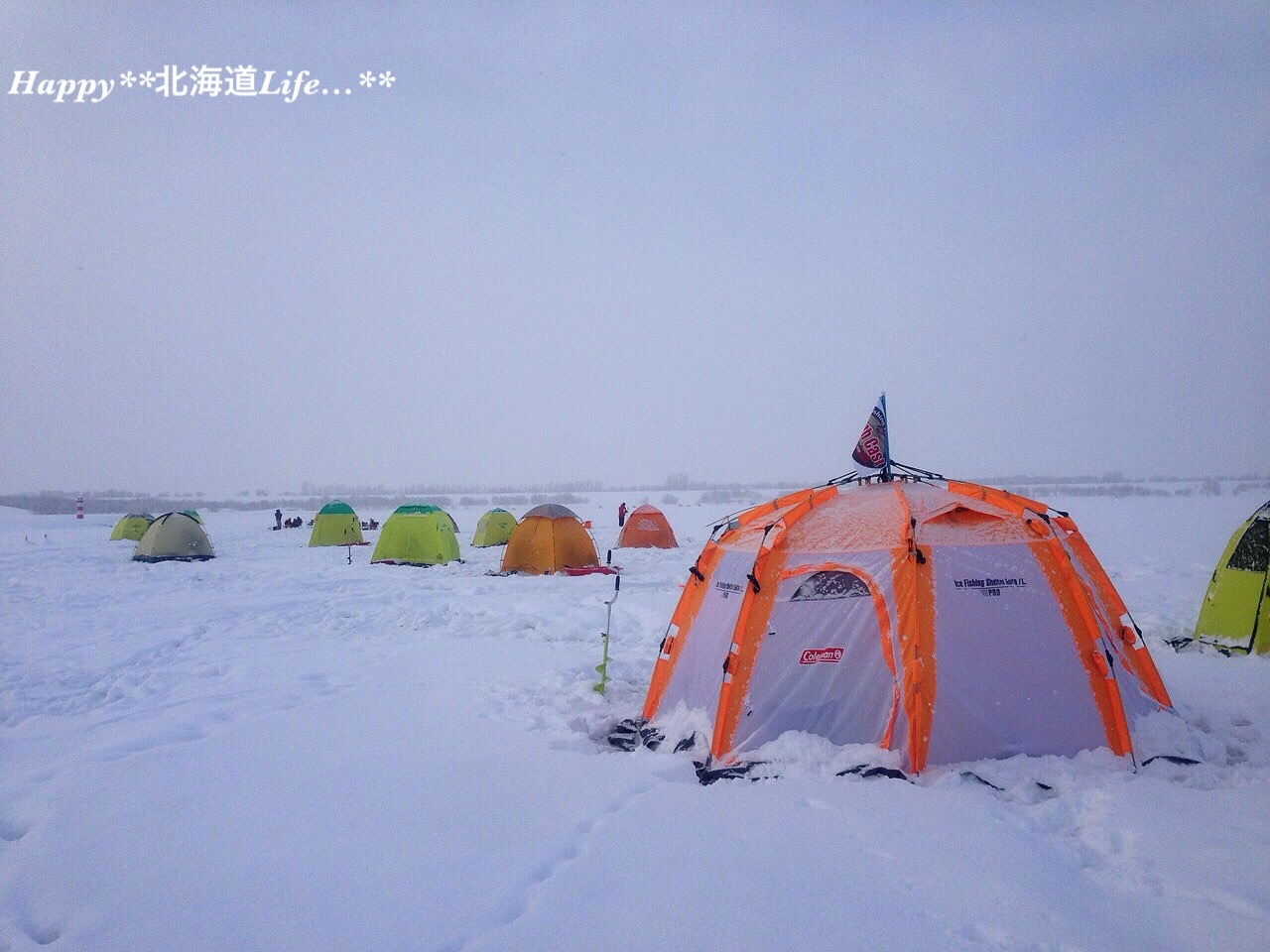 a0337860_02124693.jpeg