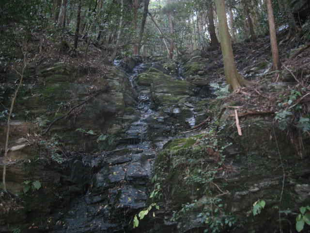 2015.11.21　西龍王山～東龍王山_c0219866_19311131.jpg