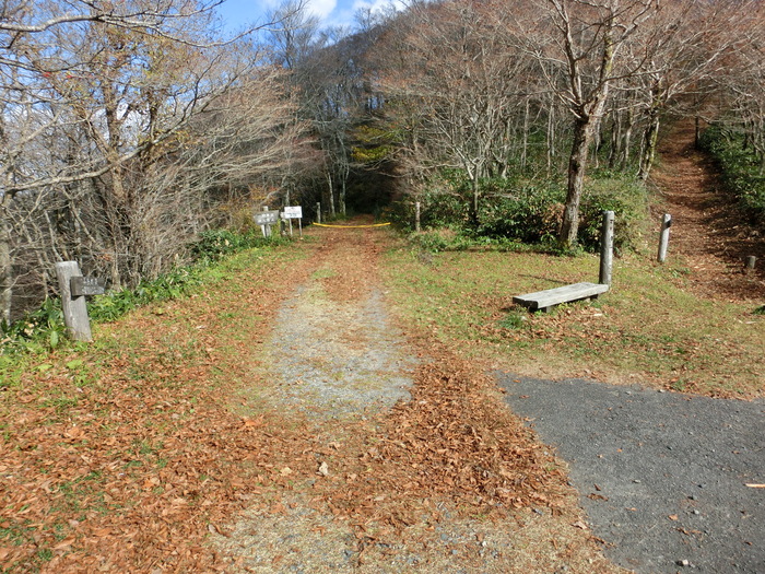 b0185573_10363642.jpg
