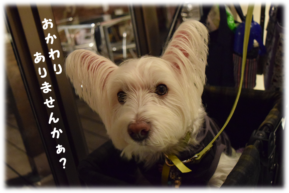 b0242873_16045958.png