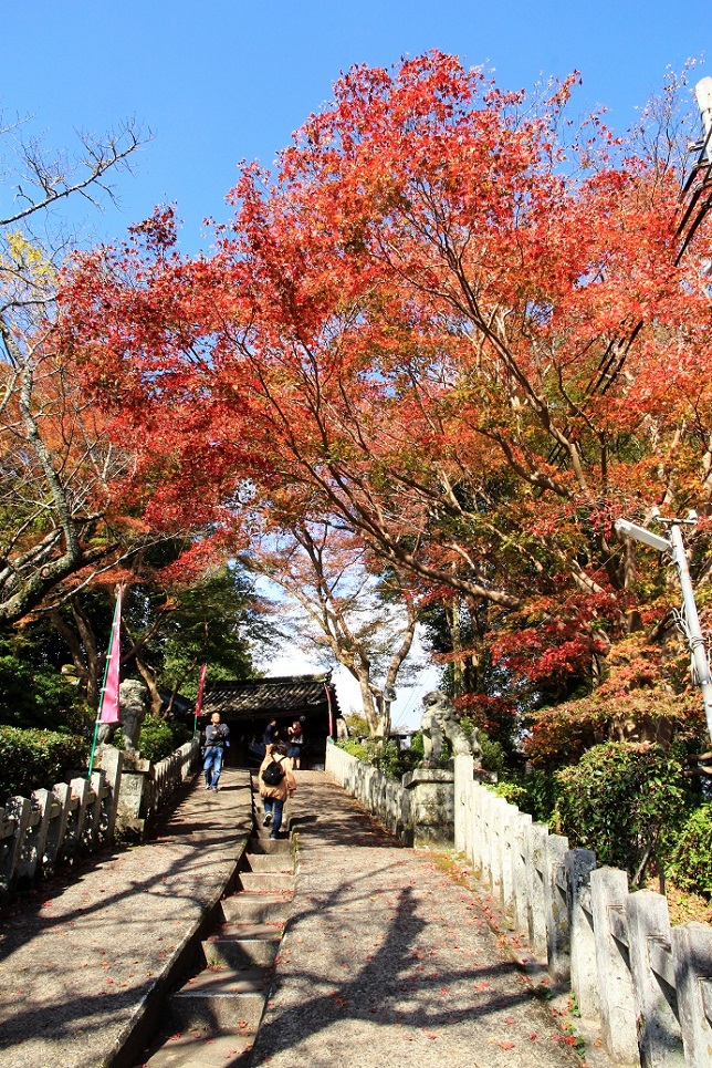 役行者のふるさと ~金峯山寺蔵王堂、吉水神社書院~_a0107574_21453803.jpg