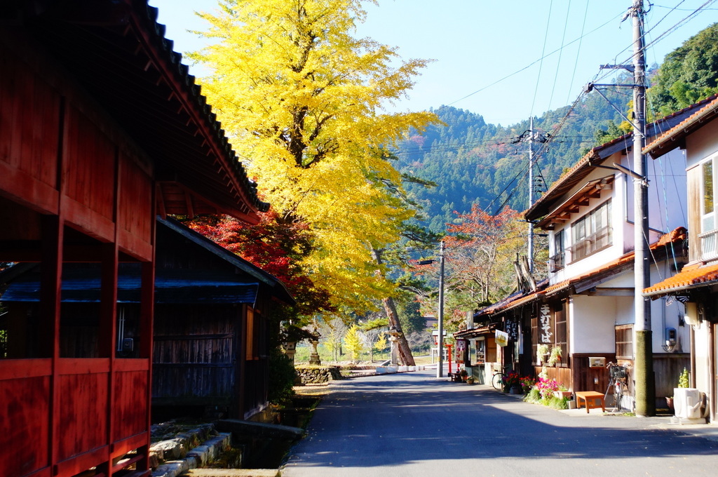 美しき町、津和野の朝。_c0180686_16571212.jpg