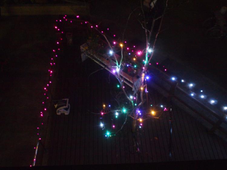 クリスマスイルミネーション_f0220087_1329113.jpg