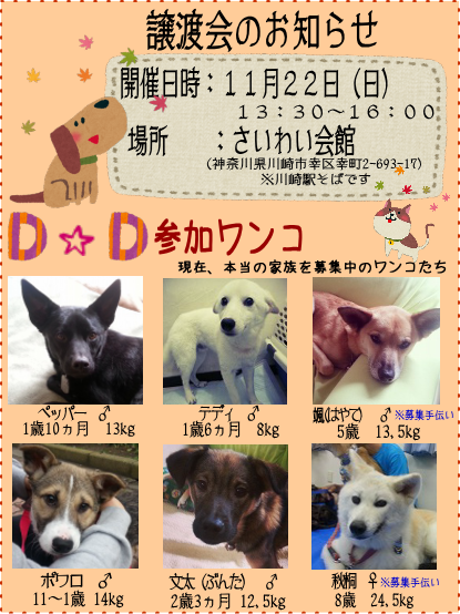 c0351089_1435538.png