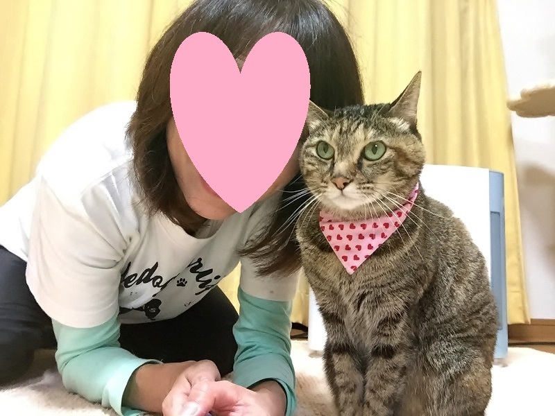 自撮り棒の楽しみ方_a0126590_06085847.jpg