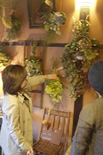 ①「フボーと植物展 白4」の光景_f0226293_734695.jpg