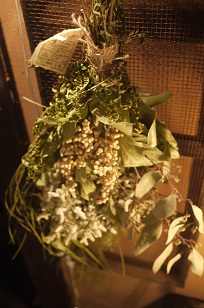 ③作品アレコレ「フボーと植物展 白4」_f0226293_841699.jpg