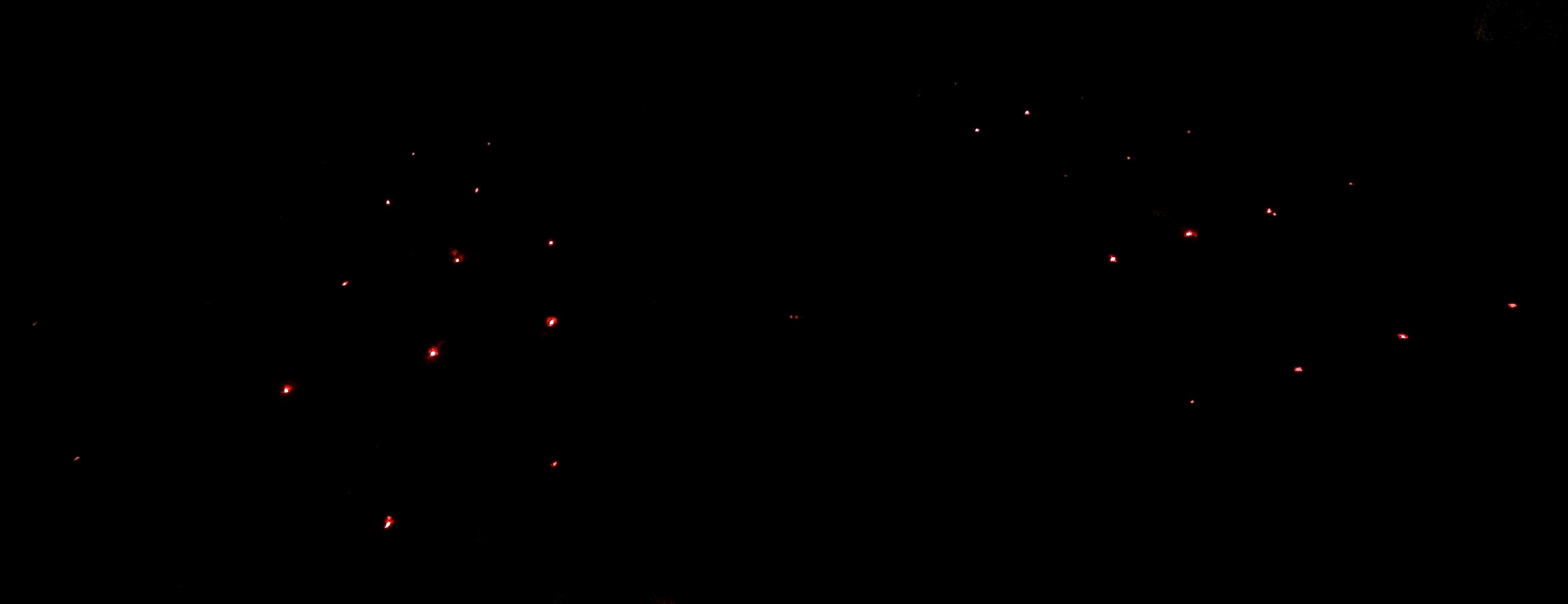 b0199097_17385725.jpg