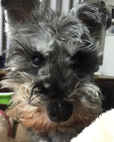 b0188998_22421037.jpeg