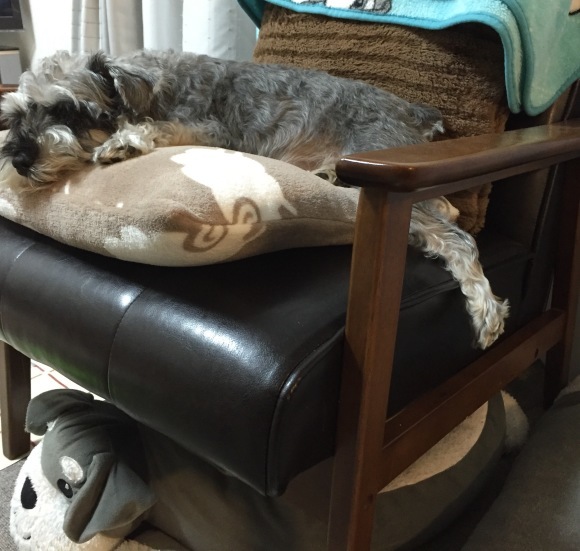 b0188998_23011163.jpeg