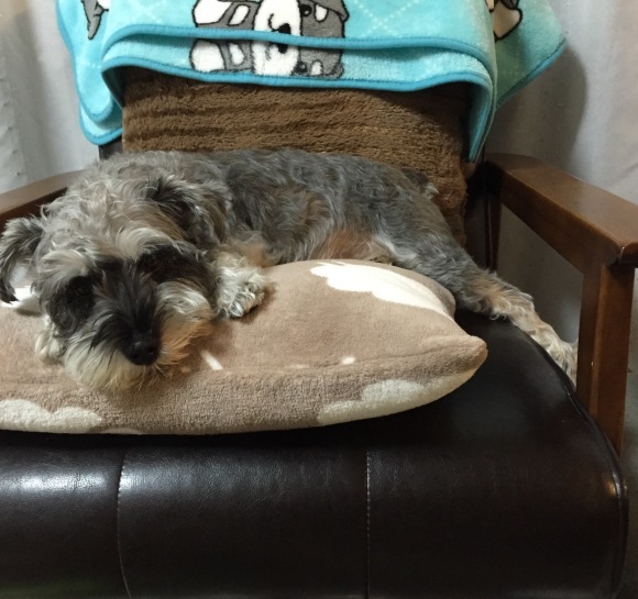 b0188998_23012198.jpeg