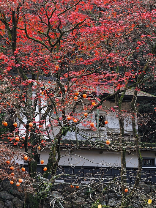 紅葉ツーリング　2015　第4弾その2　－両界山　横蔵寺―_e0075403_16134481.jpg