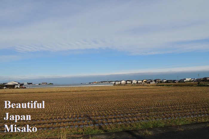 岡山から宇野港までの・・・道とたーんぼと海の空．｡･：*：･ﾟ`☆､｡　11月19日_c0067206_15013845.jpg