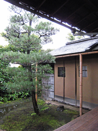 僕は国宝建造物を何件見たのですか?_c0195909_14453866.jpg