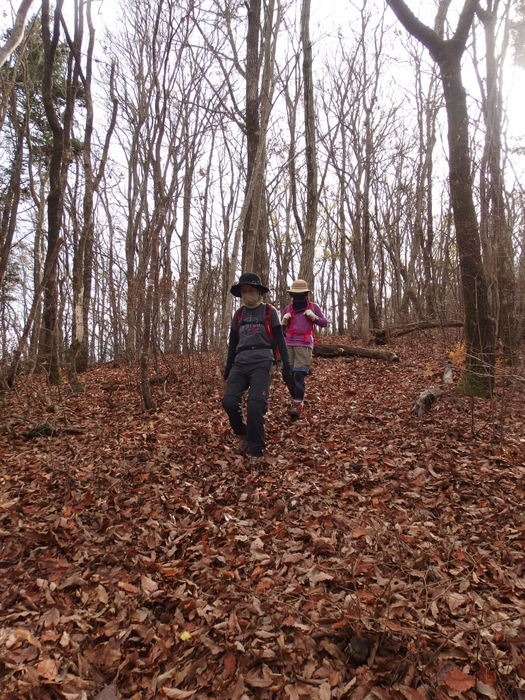鬼ケ城山登山（廿日市飯山の登山口から）_c0116915_0542342.jpg