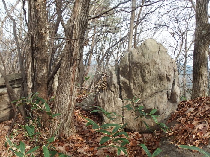 鬼ケ城山登山（廿日市飯山の登山口から）_c0116915_054959.jpg