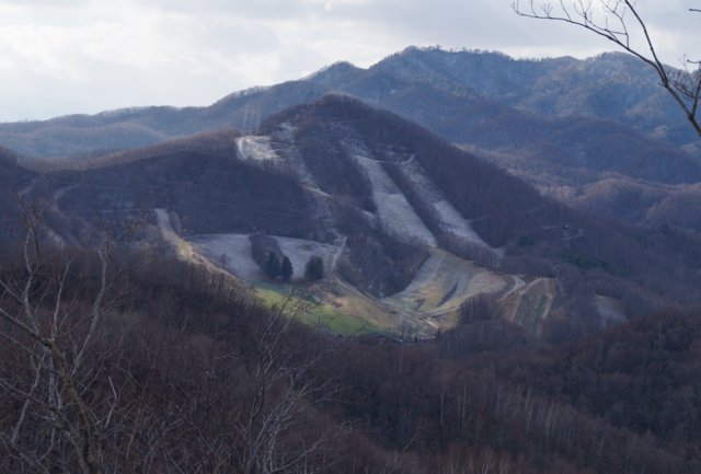 2015年11月22日(日)　三角山～大倉山～奥三角山（標高354ｍ）_c0171816_213504.jpg