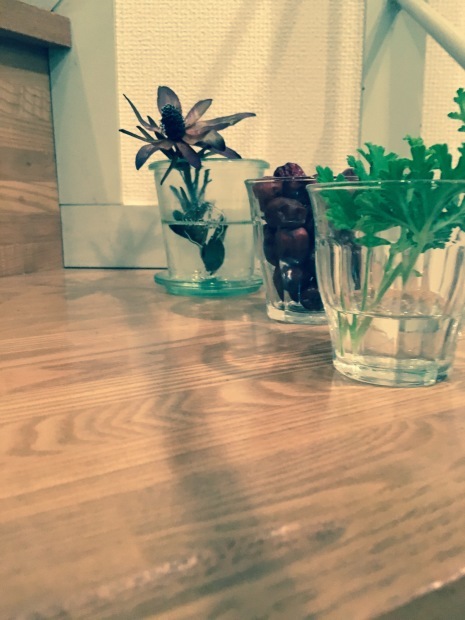 e0172219_21460807.jpeg