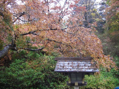 c0074721_15203572.jpg