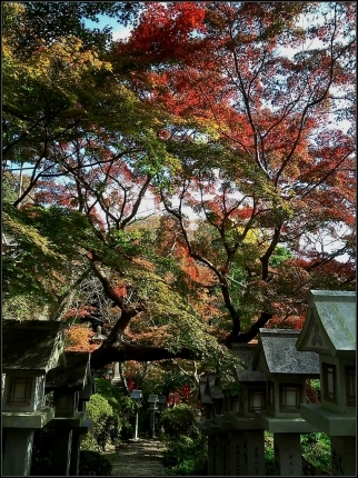 「信貴山 朝護孫子寺」 今年の紅葉は…_d0277422_18390302.jpg