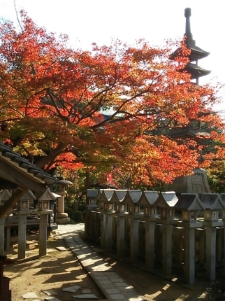 「信貴山 朝護孫子寺」 今年の紅葉は…_d0277422_18415454.jpg