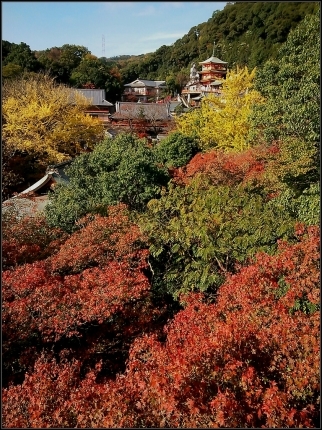 「信貴山 朝護孫子寺」 今年の紅葉は…_d0277422_18435855.jpg