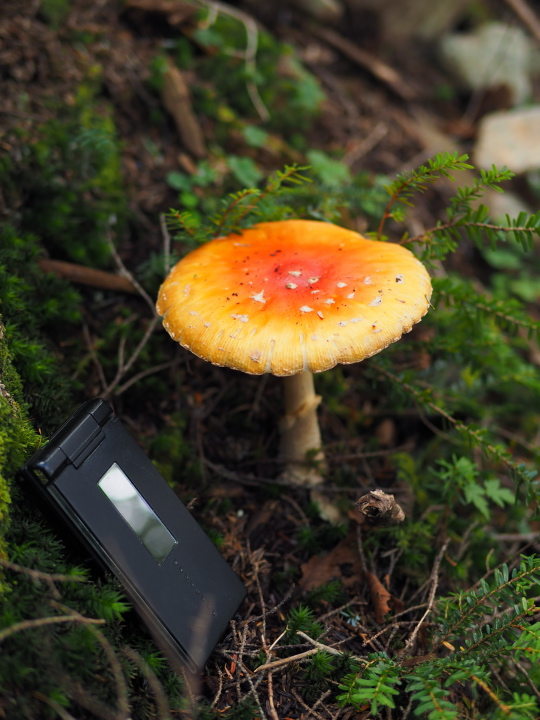 b0244424_2313465.jpg