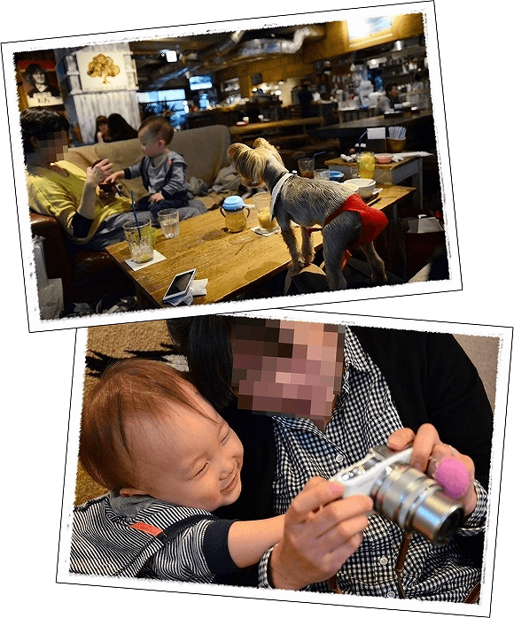 d0179828_15582480.png