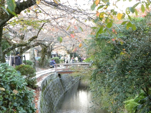 京都紅葉狩り_f0054429_23124360.jpg