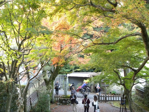 京都紅葉狩り_f0054429_2312879.jpg