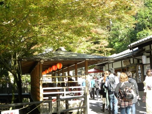 京都紅葉狩り_f0054429_2341132.jpg