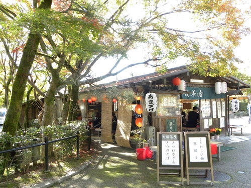 京都紅葉狩り_f0054429_2351513.jpg