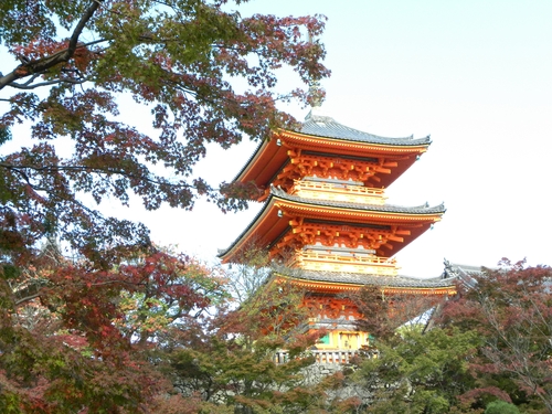 京都紅葉狩り_f0054429_2355342.jpg