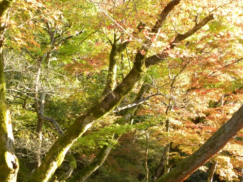 f0054429_238523.jpg