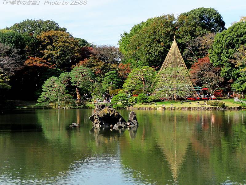 六義園の紅葉は？_a0195032_10422698.jpg