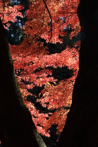 f0229832_8504457.jpg