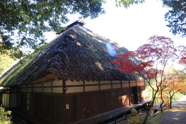 f0229832_8591879.jpg