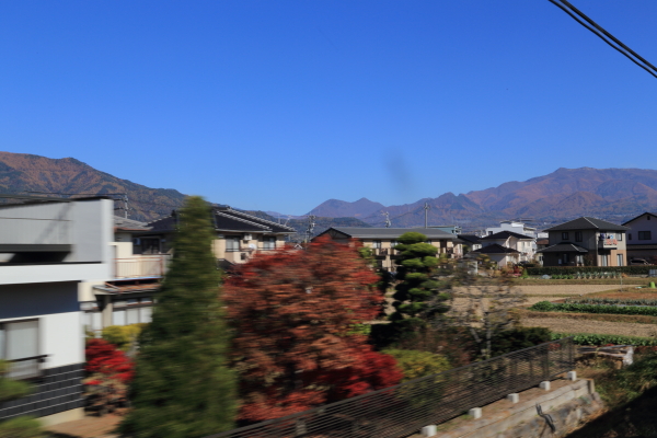 f0229832_99546.jpg