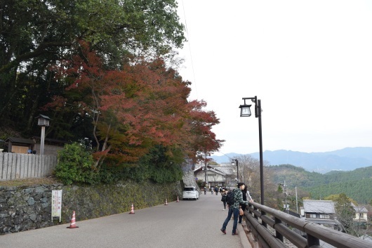 今年の吉野山の紅葉は・・・。_a0228333_21092414.jpg