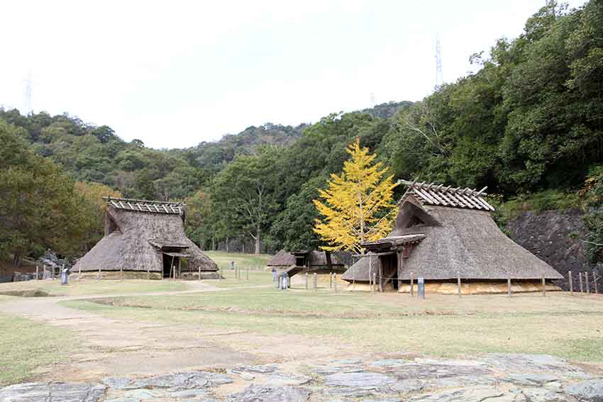 天石門別八倉比売神社と神前挙式♪_d0058941_20351912.jpg