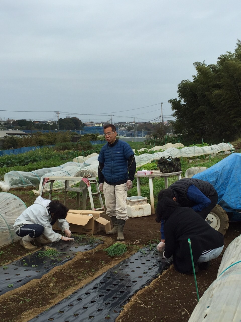 玉葱定植開始します　今日は９００本弱・・飯田＆計５名様のボランティアの方々と_c0222448_13552117.jpg