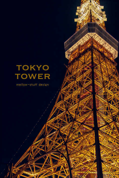 東京タワーと紅葉_d0124248_19335715.jpg