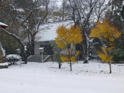 b0238249_20353293.jpg