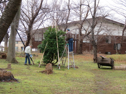 b0238249_2042249.jpg