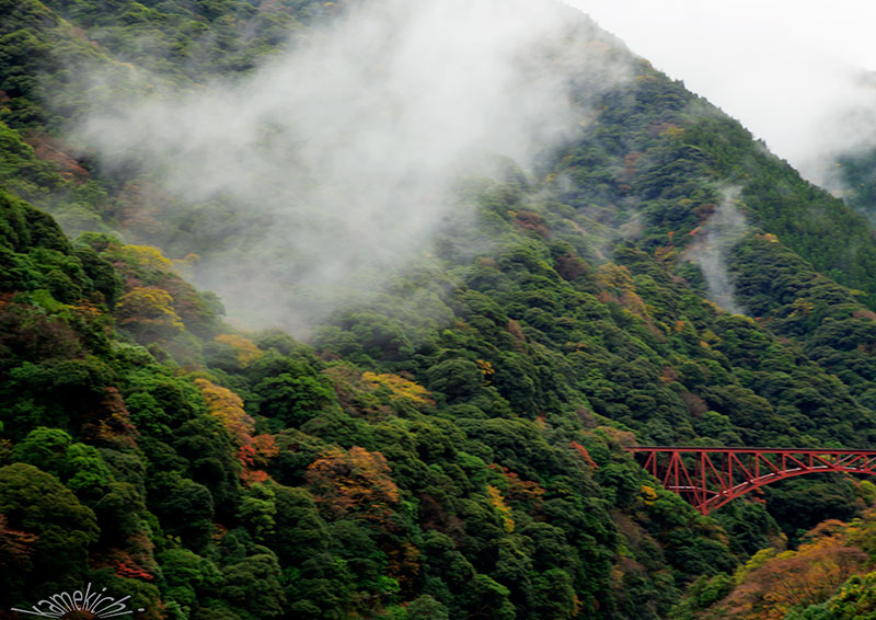 おらが村（南阿蘇村）晩秋編！_a0057752_86370.jpg